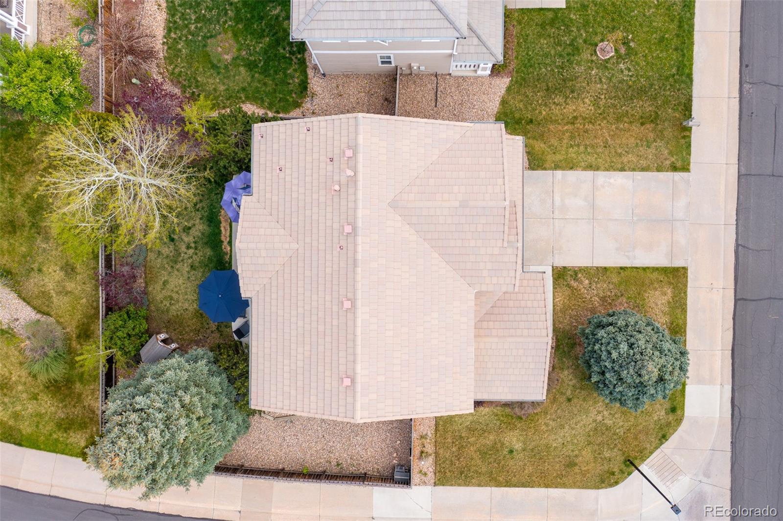 MLS Image #46 for 2736  poplar grove place,castle rock, Colorado