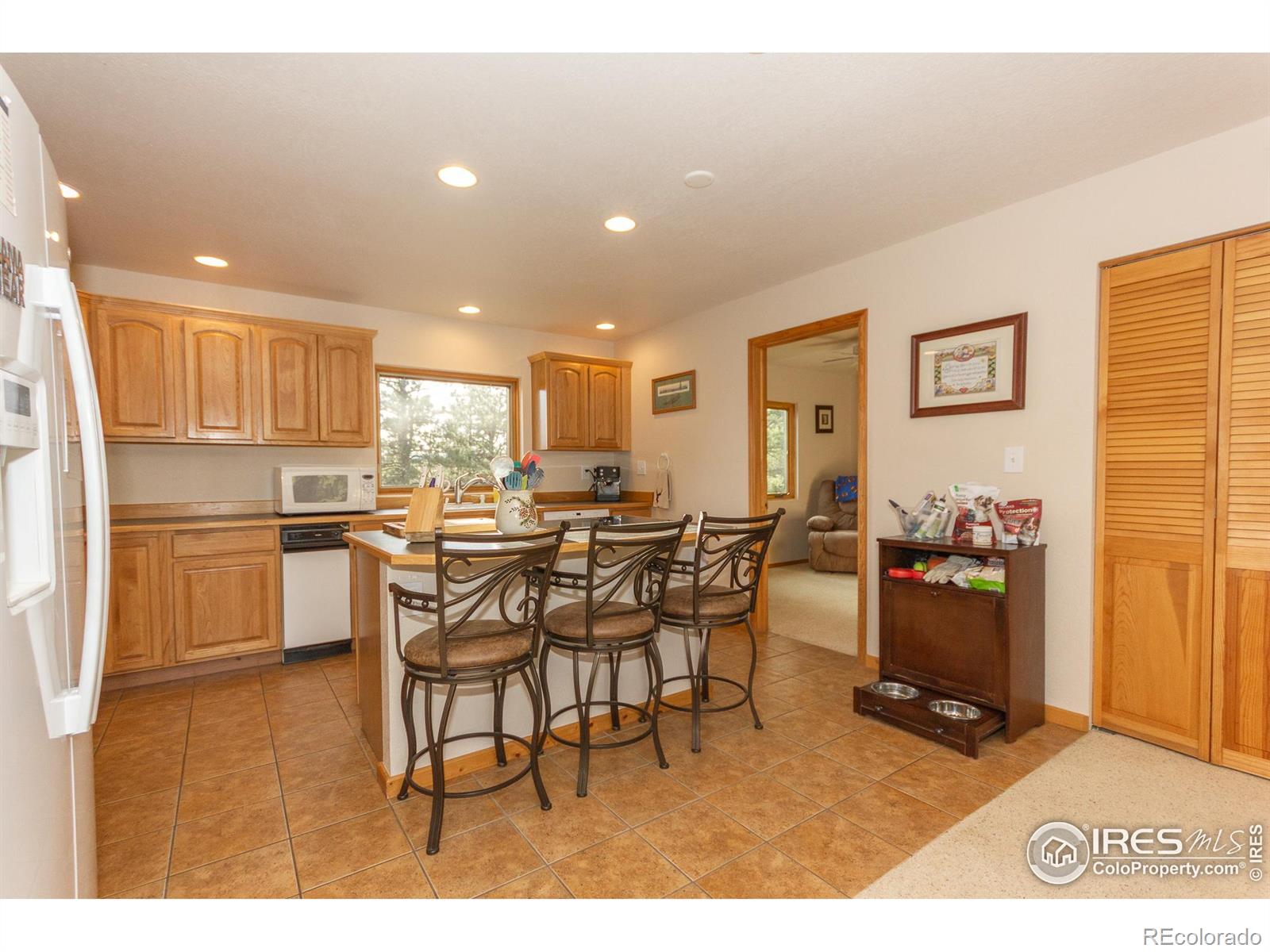 MLS Image #10 for 615  guardian peak drive,livermore, Colorado