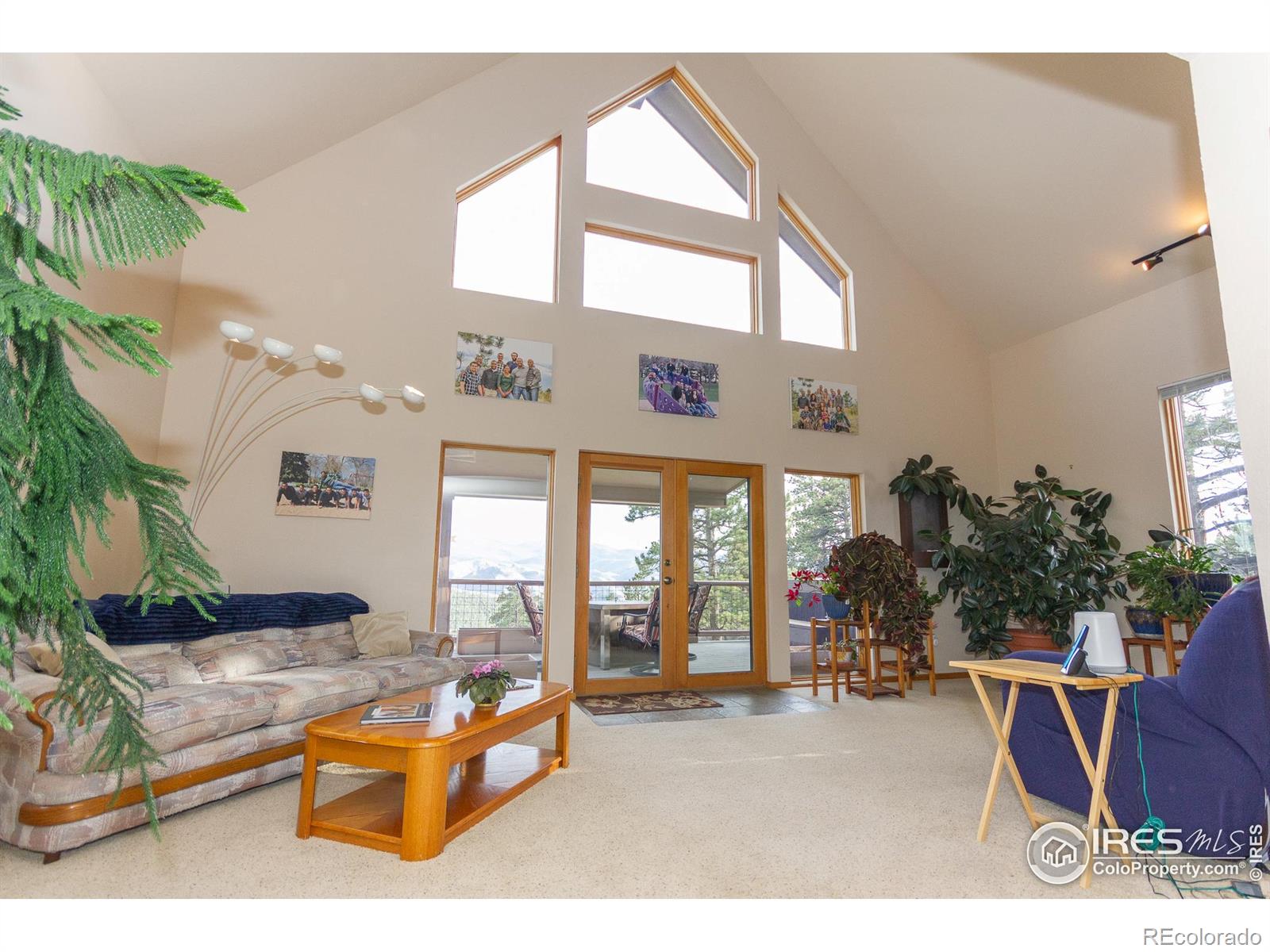 MLS Image #12 for 615  guardian peak drive,livermore, Colorado