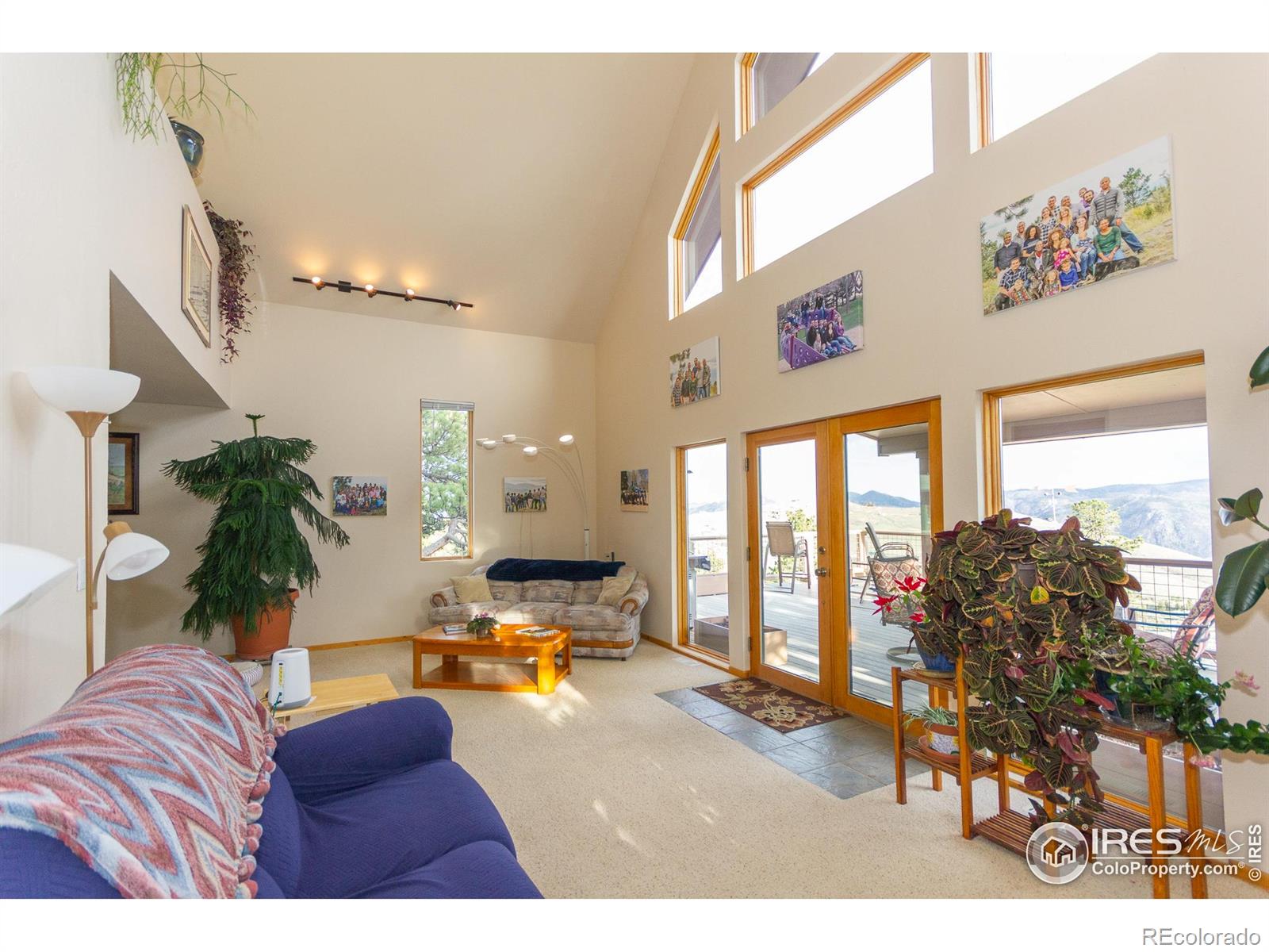 MLS Image #13 for 615  guardian peak drive,livermore, Colorado
