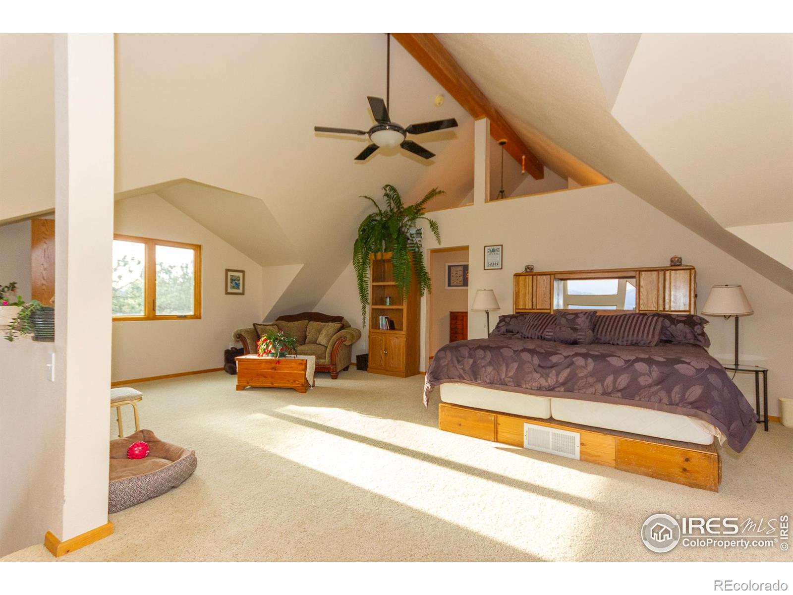 MLS Image #14 for 615  guardian peak drive,livermore, Colorado