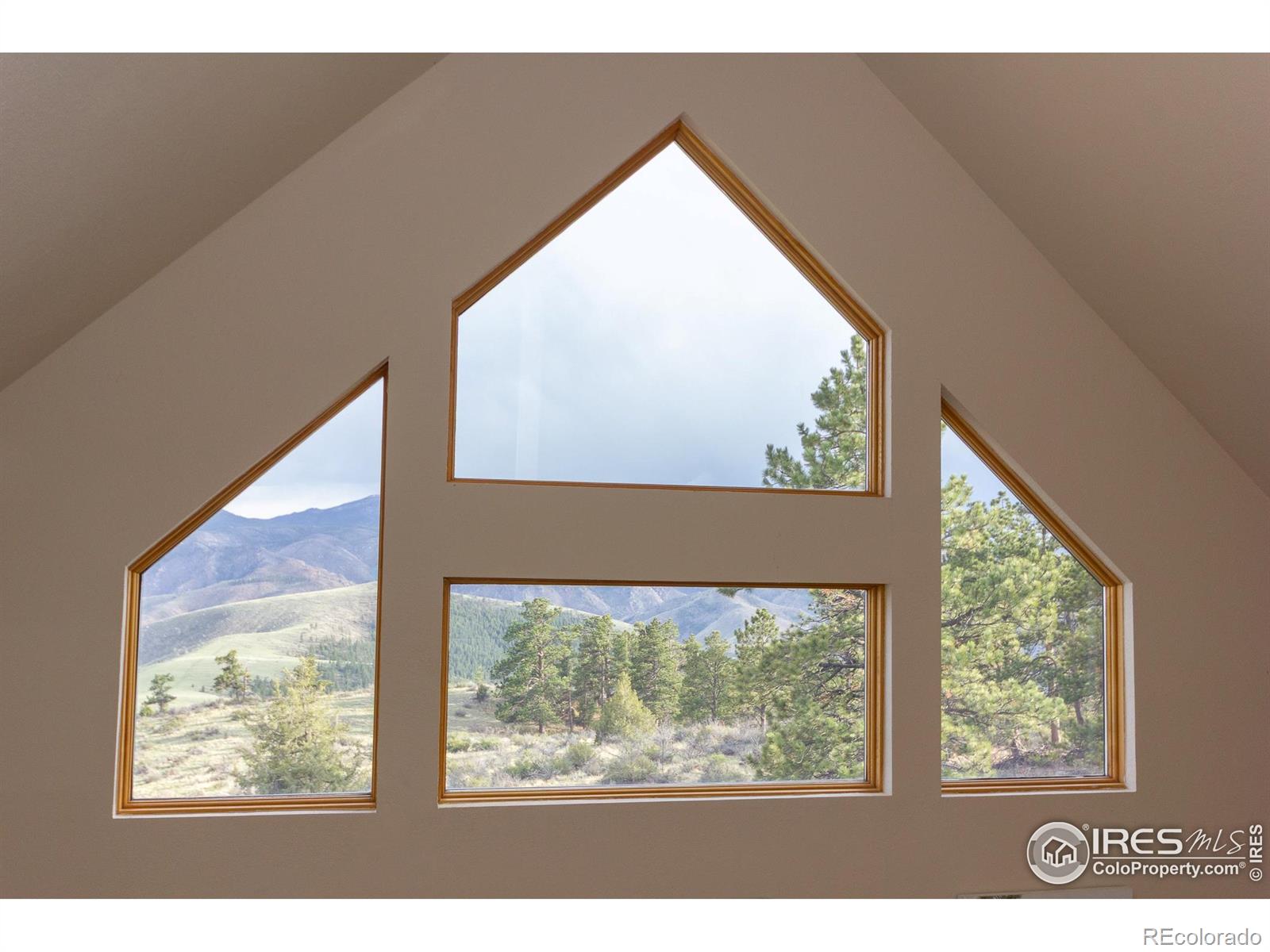 MLS Image #15 for 615  guardian peak drive,livermore, Colorado