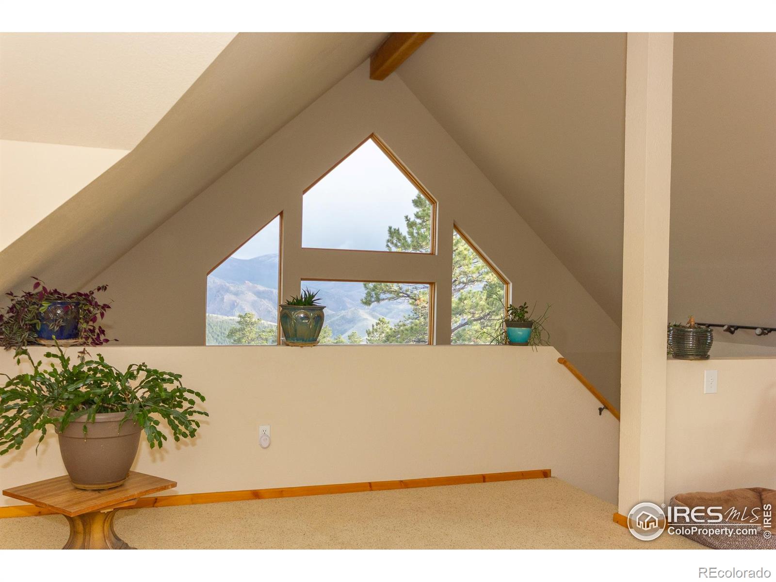 MLS Image #16 for 615  guardian peak drive,livermore, Colorado