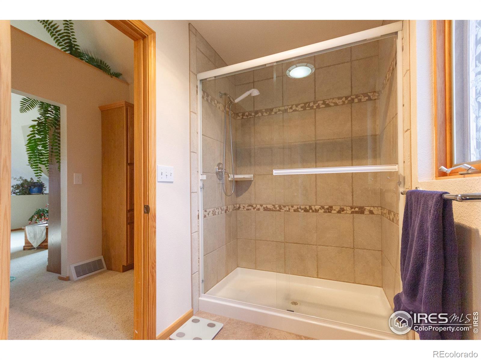 MLS Image #18 for 615  guardian peak drive,livermore, Colorado