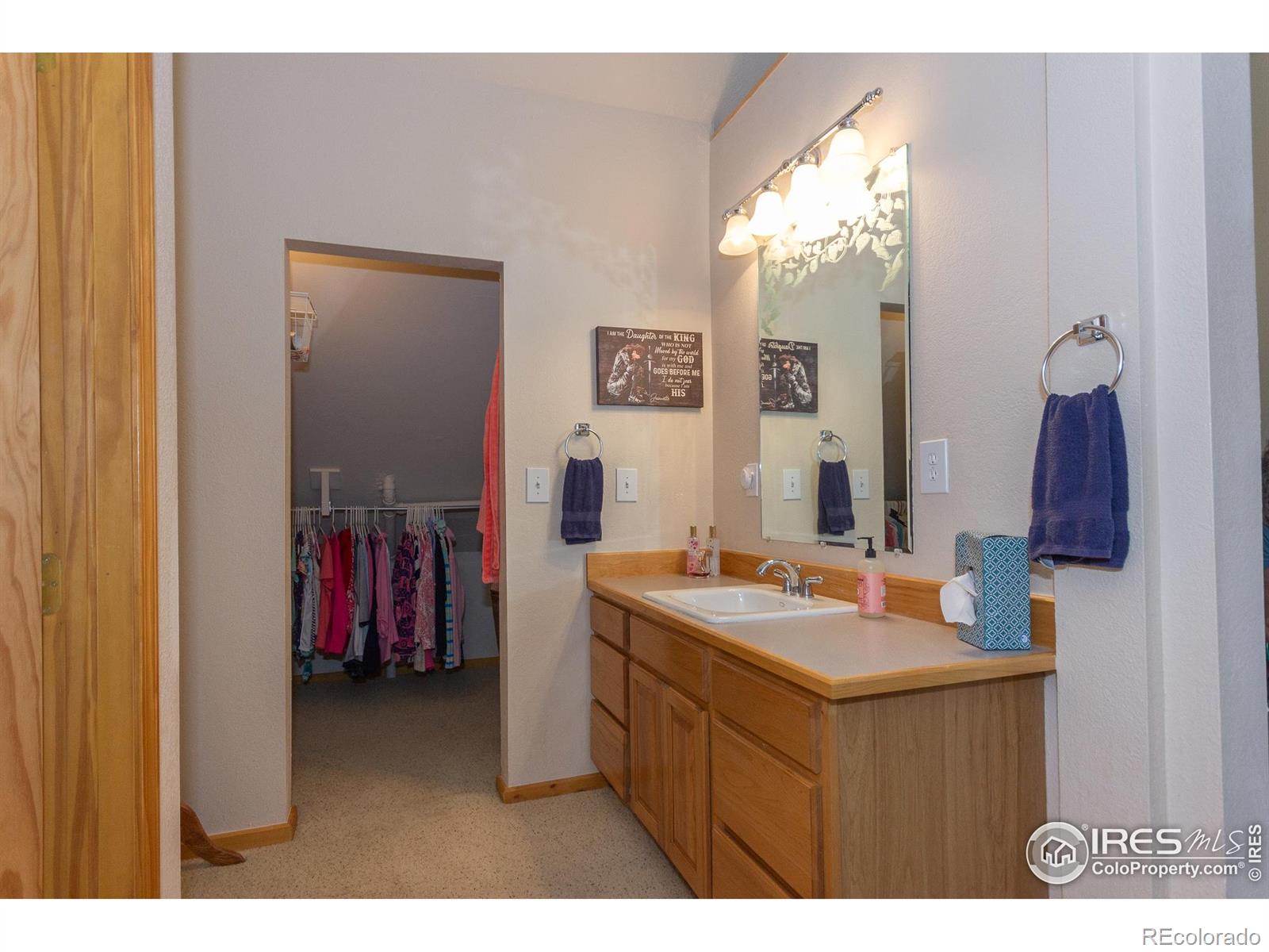 MLS Image #19 for 615  guardian peak drive,livermore, Colorado