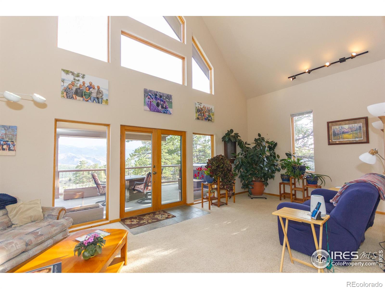 MLS Image #20 for 615  guardian peak drive,livermore, Colorado