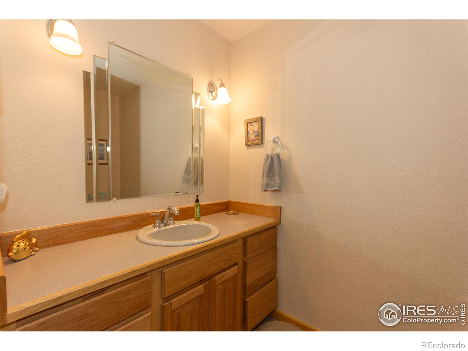 MLS Image #23 for 615  guardian peak drive,livermore, Colorado