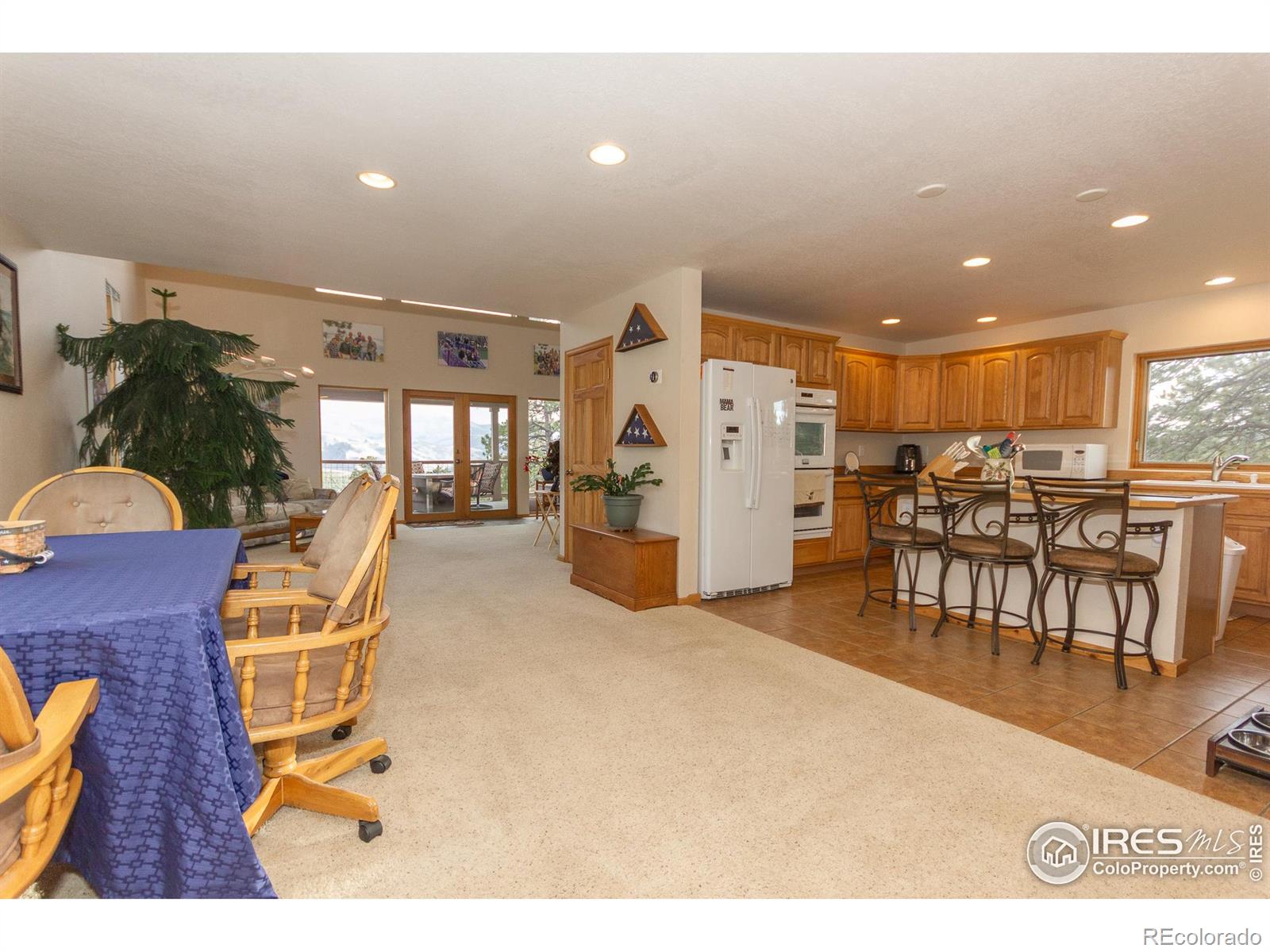 MLS Image #6 for 615  guardian peak drive,livermore, Colorado