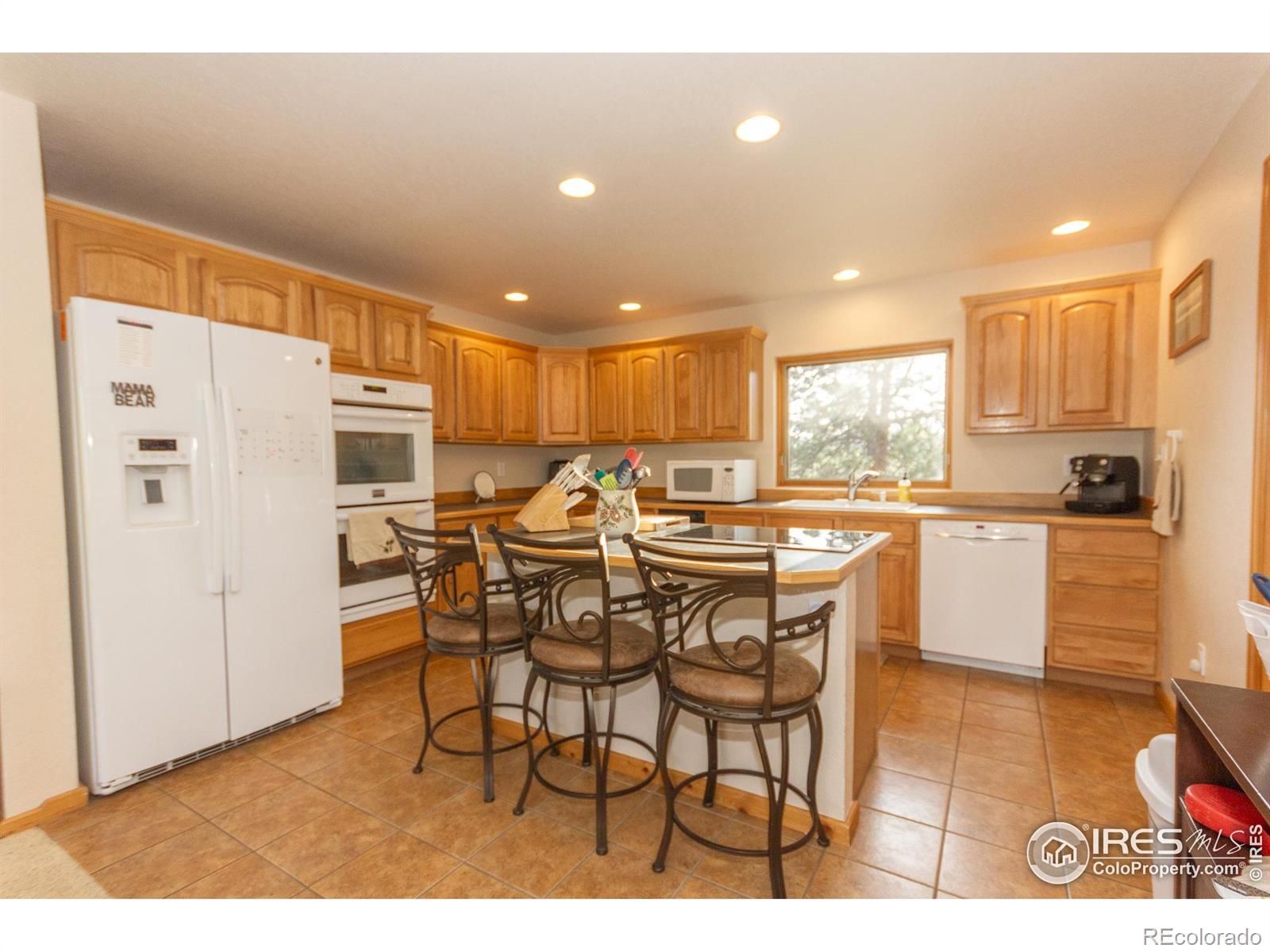 MLS Image #7 for 615  guardian peak drive,livermore, Colorado