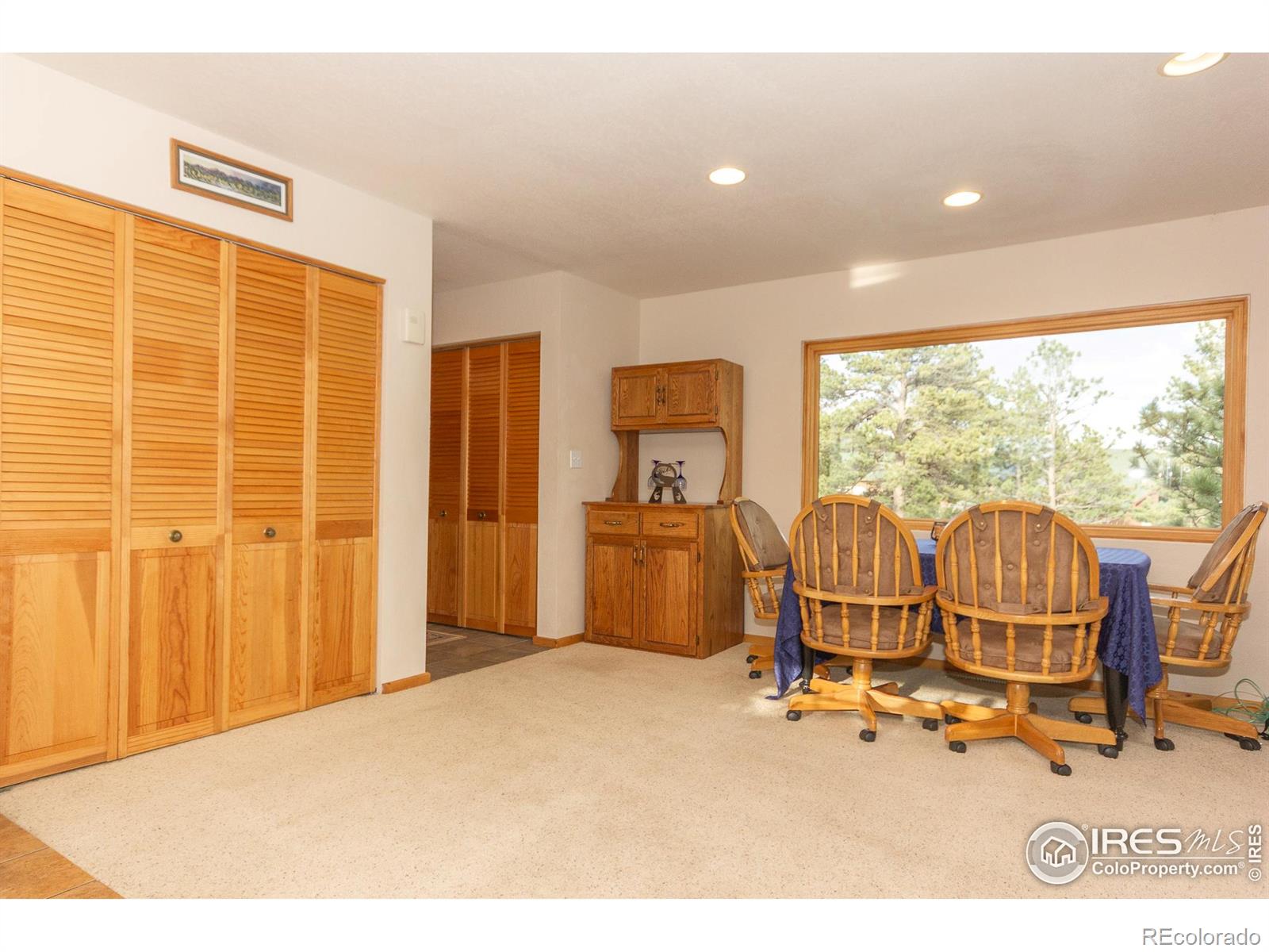 MLS Image #8 for 615  guardian peak drive,livermore, Colorado