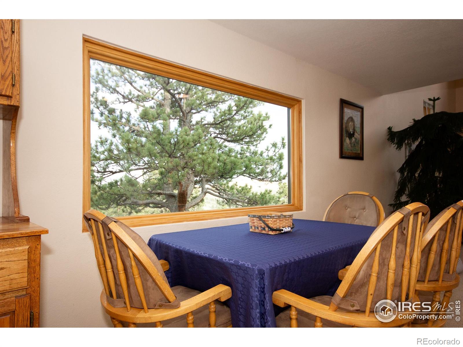 MLS Image #9 for 615  guardian peak drive,livermore, Colorado
