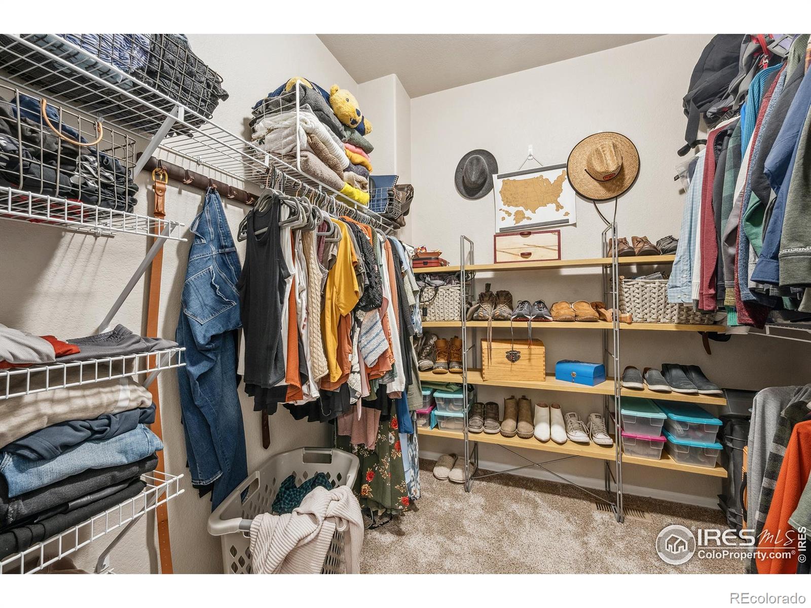 MLS Image #13 for 2518  banbury lane,fort collins, Colorado