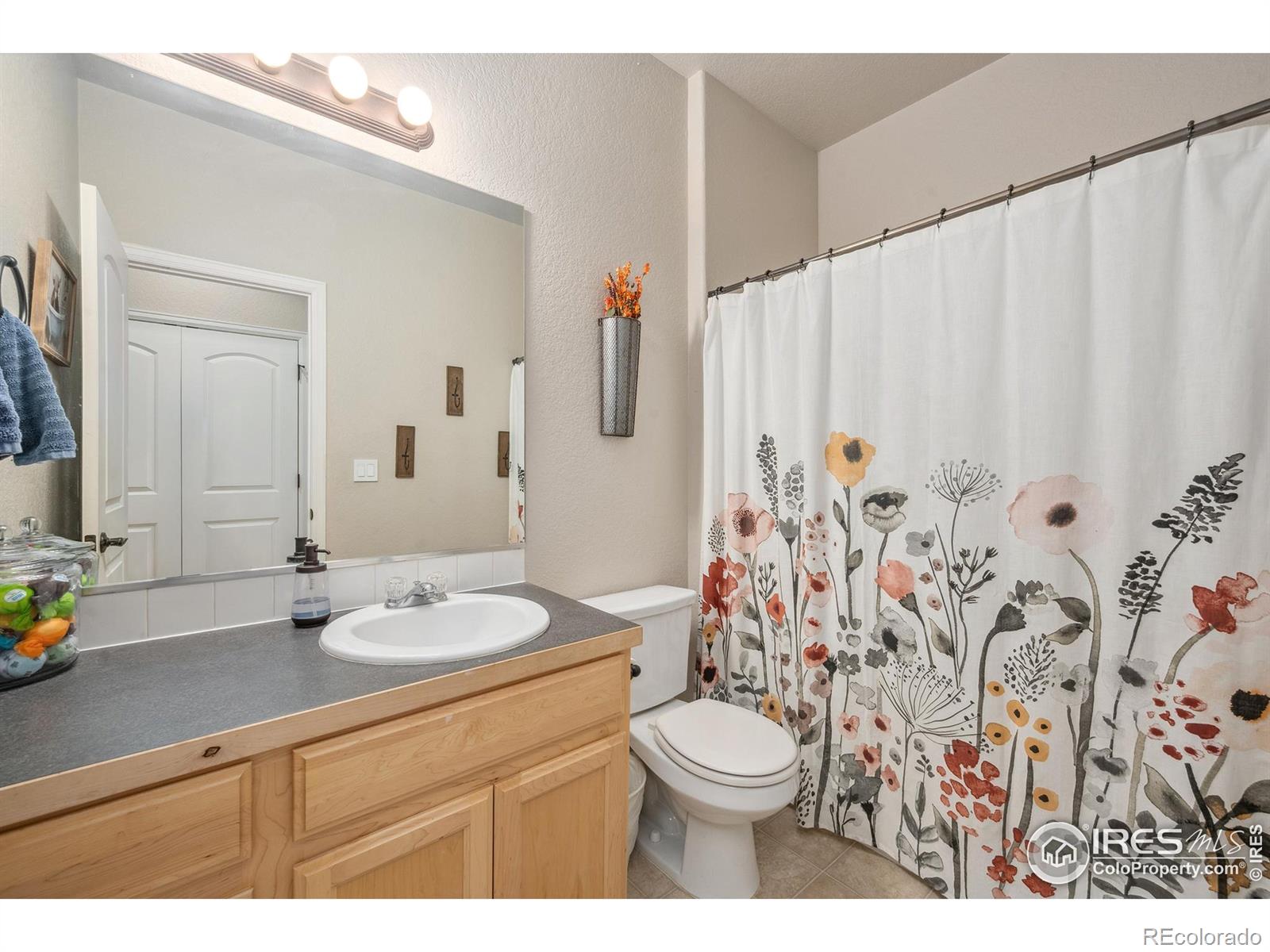 MLS Image #15 for 2518  banbury lane,fort collins, Colorado