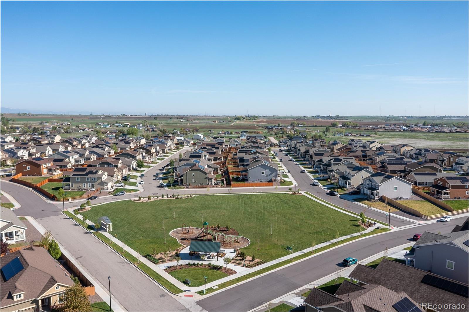 MLS Image #6 for 16345  milwaukee street,thornton, Colorado