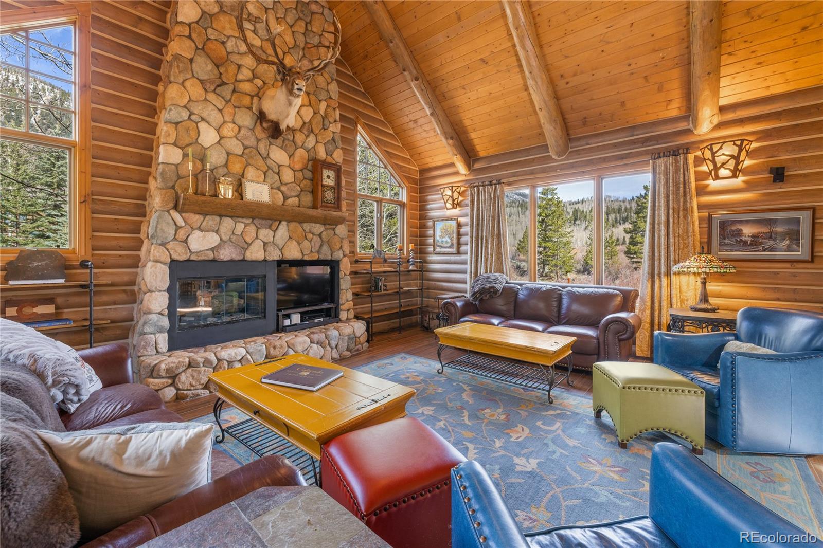 MLS Image #10 for 105  windflower lane,frisco, Colorado