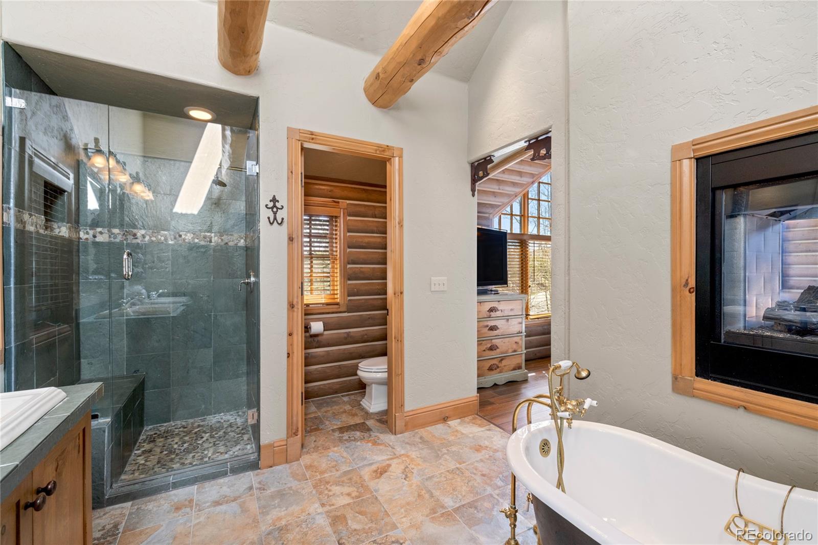 MLS Image #19 for 105  windflower lane,frisco, Colorado