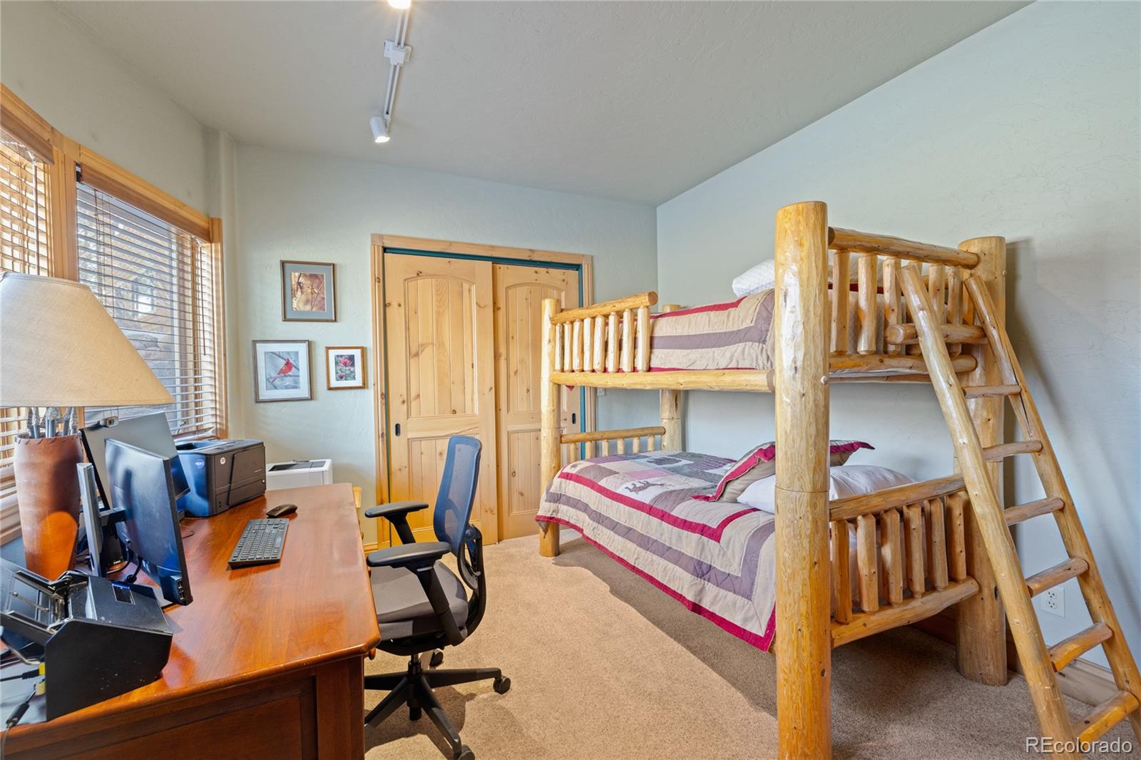 MLS Image #25 for 105  windflower lane,frisco, Colorado