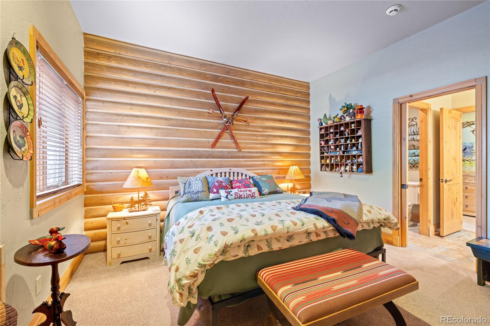 MLS Image #27 for 105  windflower lane,frisco, Colorado