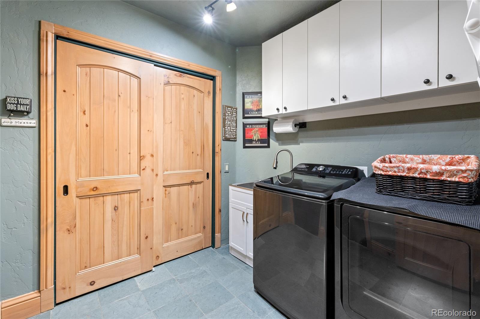 MLS Image #39 for 105  windflower lane,frisco, Colorado