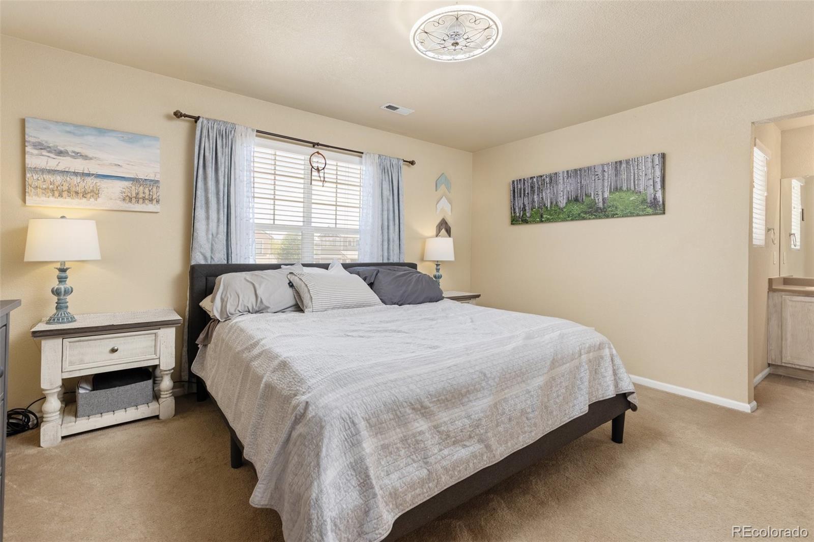 MLS Image #17 for 217  peabody street,castle rock, Colorado
