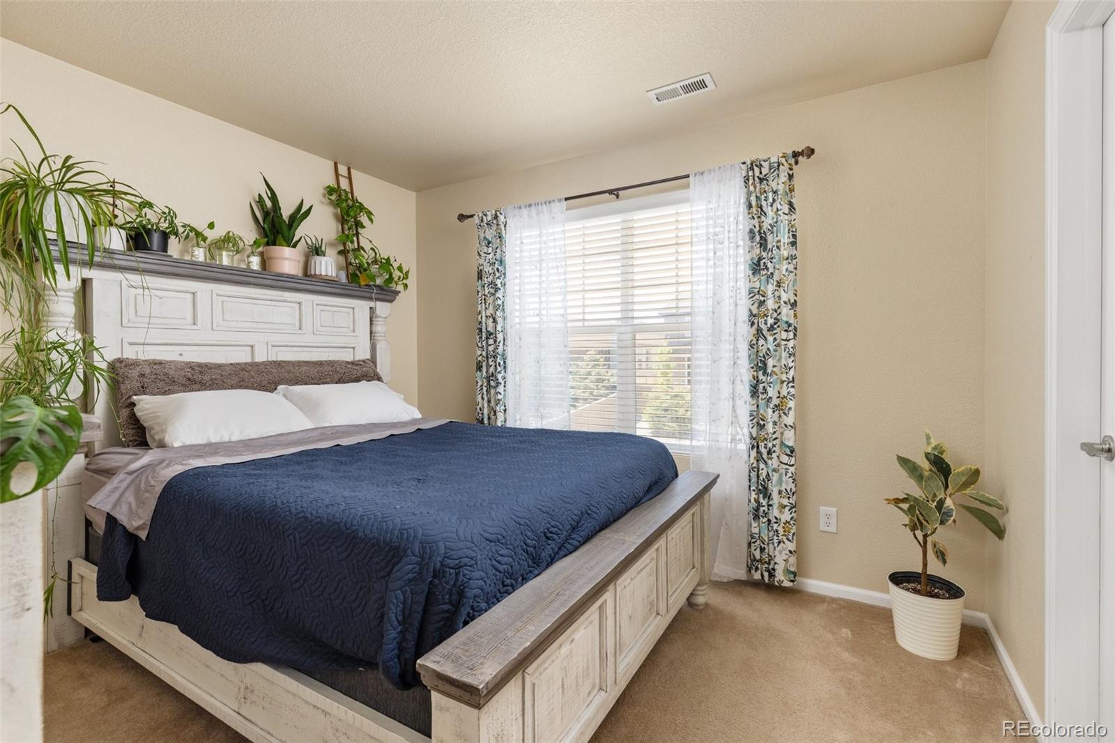 MLS Image #20 for 217  peabody street,castle rock, Colorado