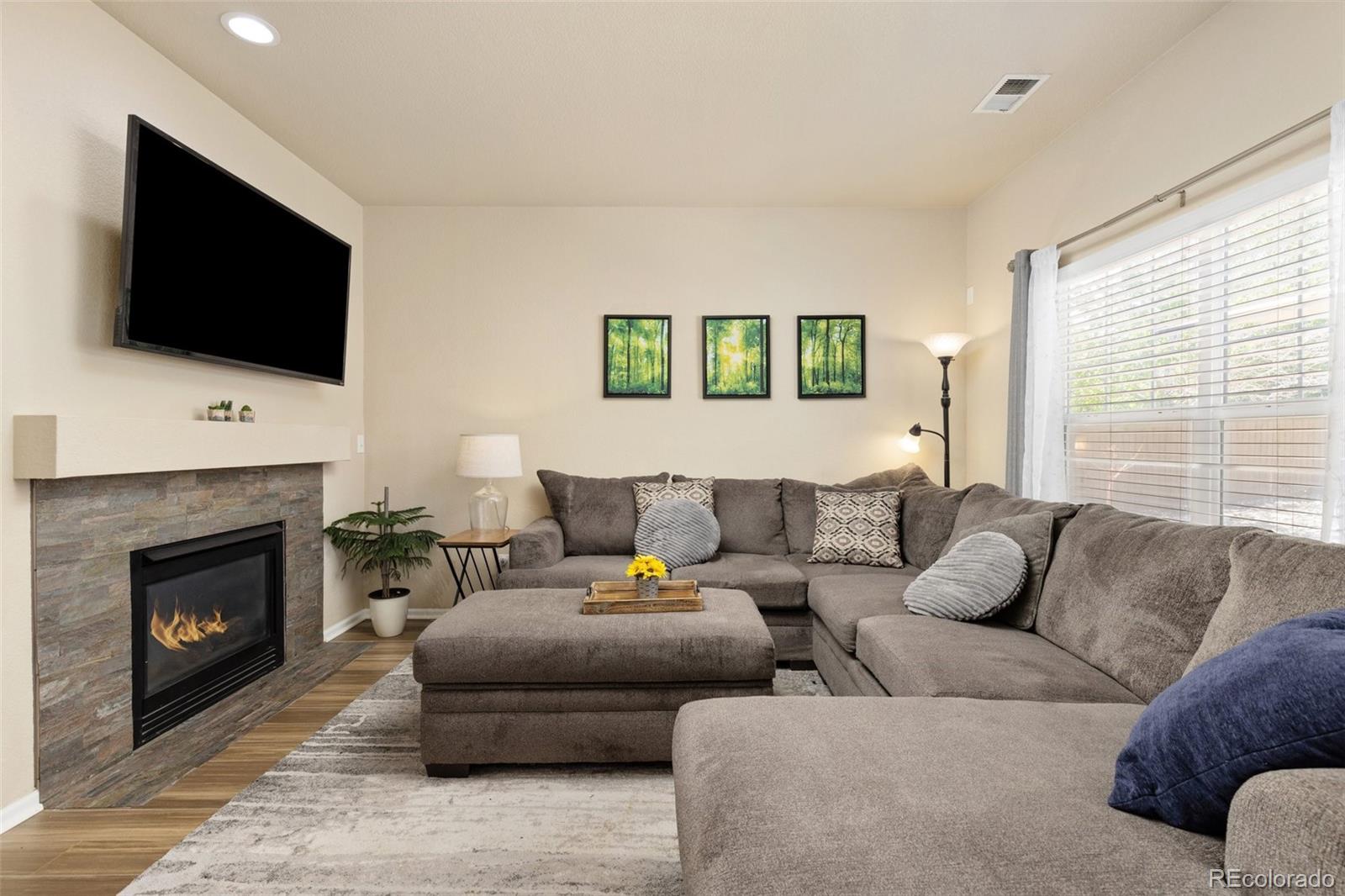MLS Image #7 for 217  peabody street,castle rock, Colorado