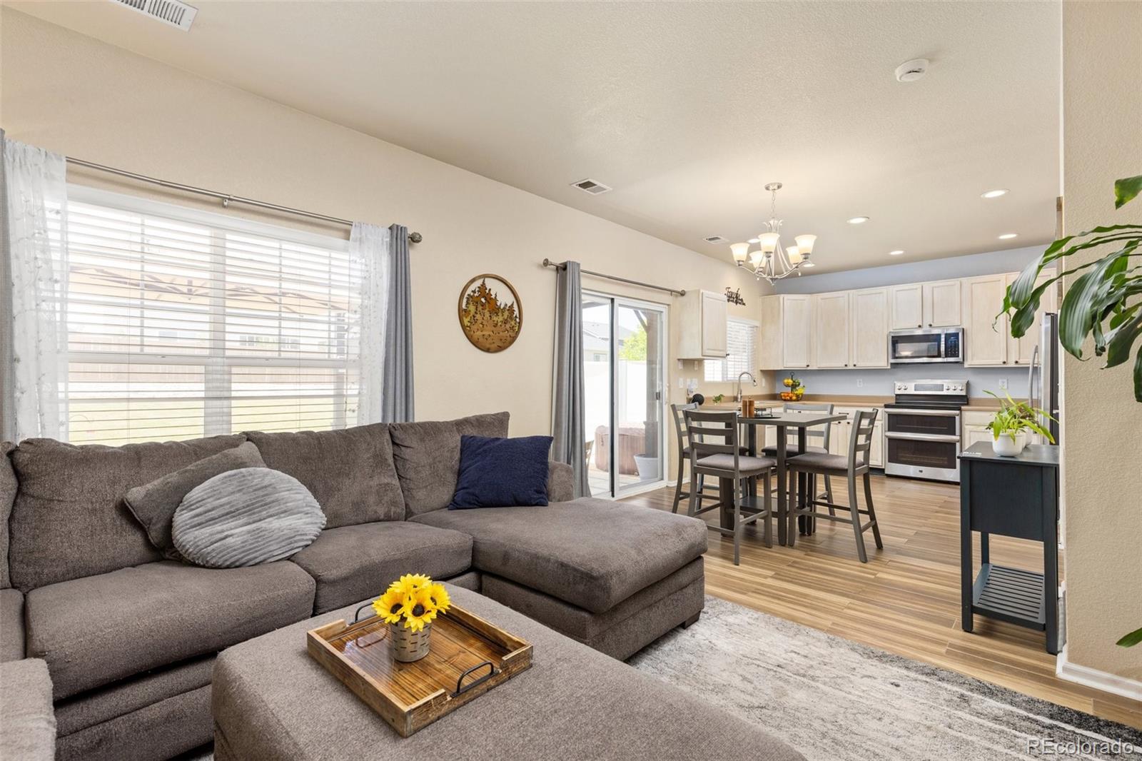 MLS Image #8 for 217  peabody street,castle rock, Colorado
