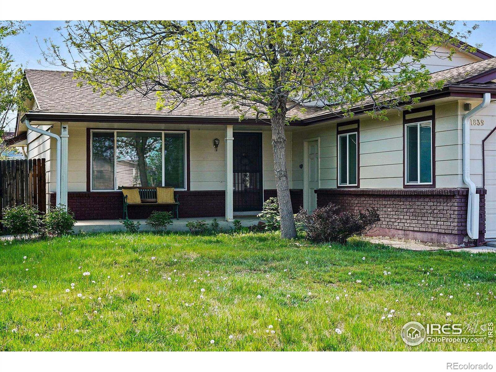 MLS Image #1 for 1839  stratford lane,longmont, Colorado