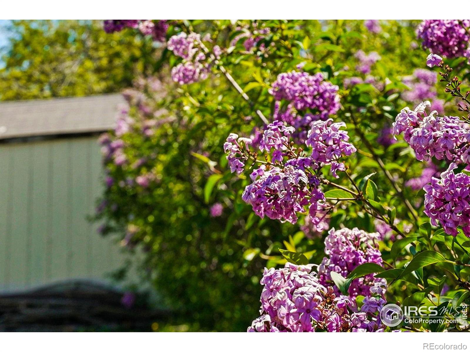 MLS Image #30 for 1839  stratford lane,longmont, Colorado