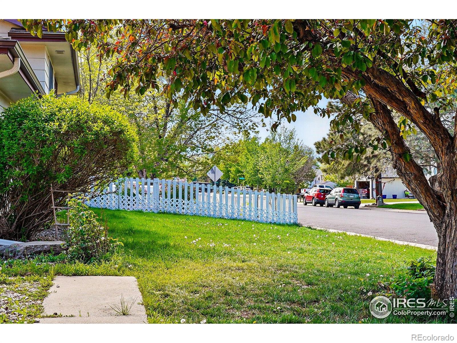 MLS Image #31 for 1839  stratford lane,longmont, Colorado
