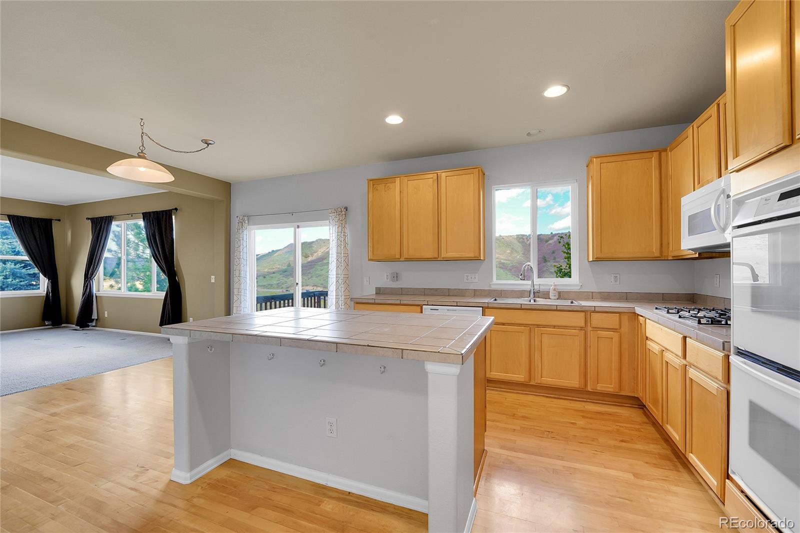 MLS Image #9 for 3790  aspen hollow court,castle rock, Colorado
