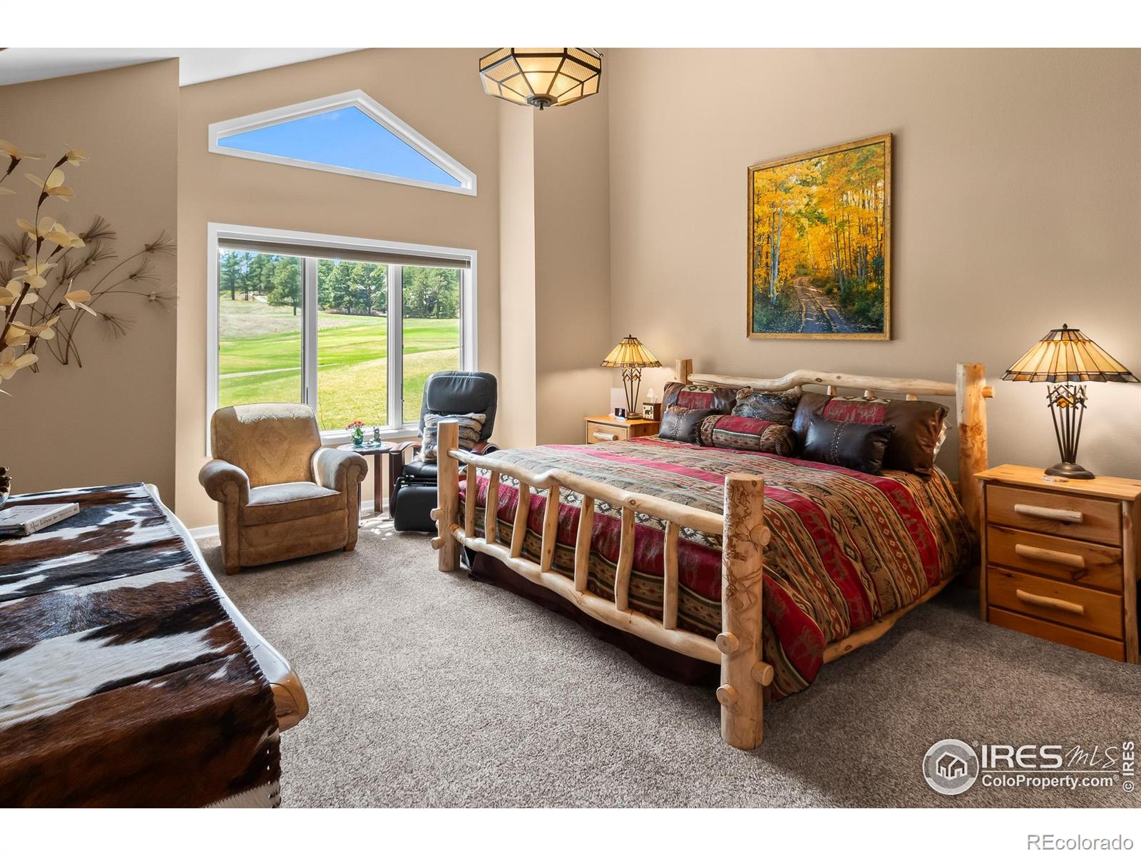 MLS Image #13 for 338  fox acres drive,red feather lakes, Colorado