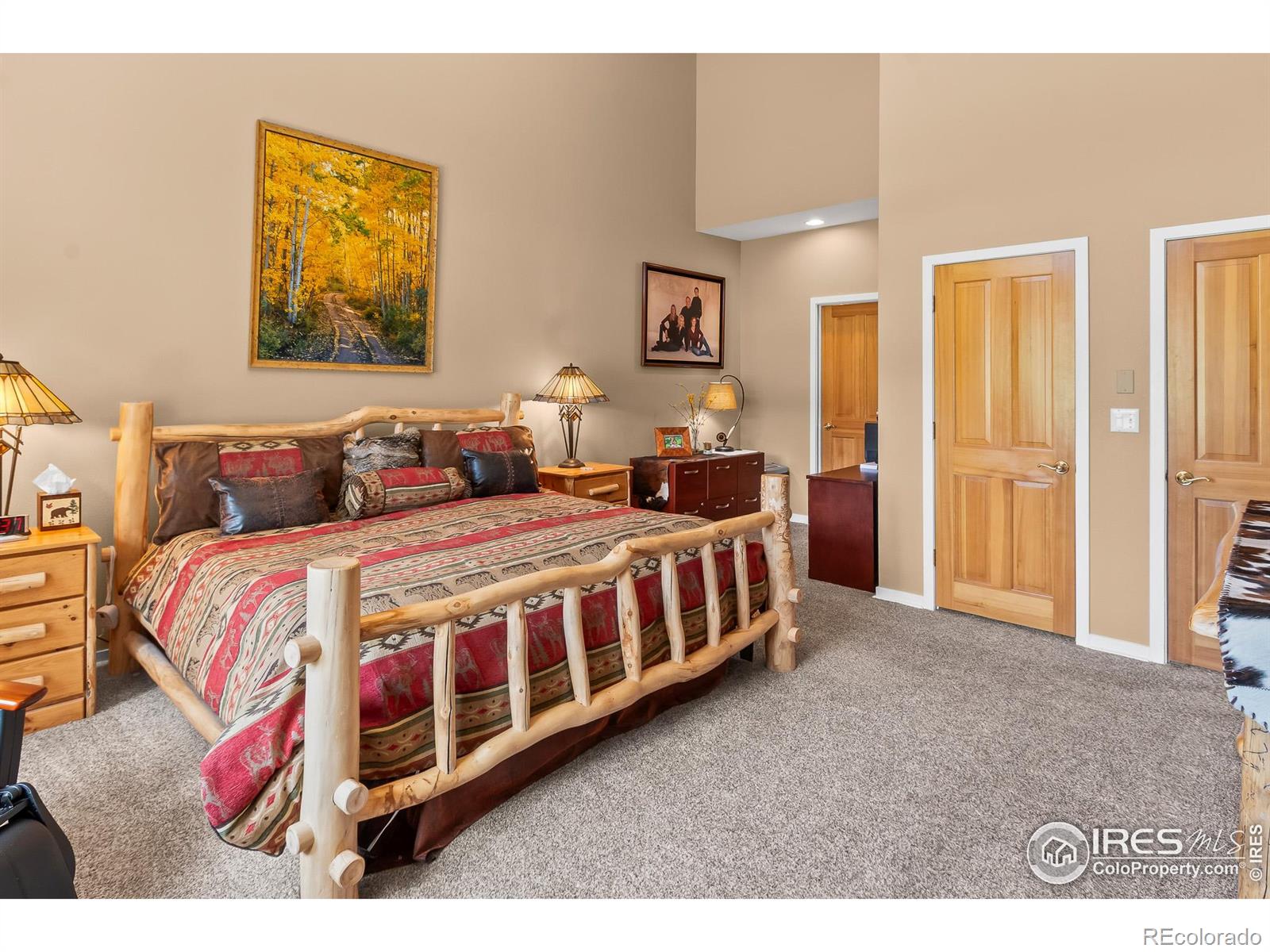 MLS Image #15 for 338  fox acres drive,red feather lakes, Colorado