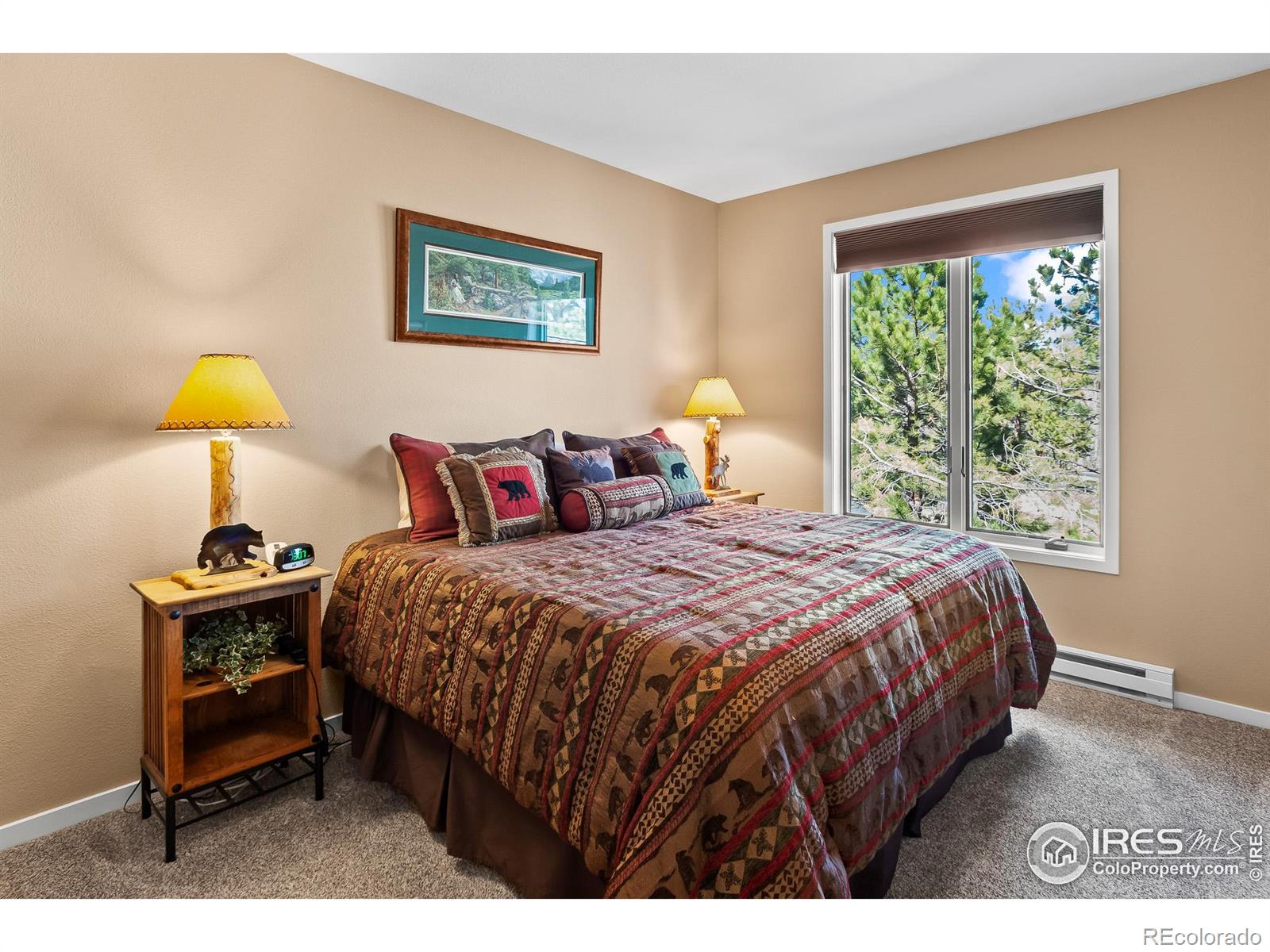 MLS Image #20 for 338  fox acres drive,red feather lakes, Colorado