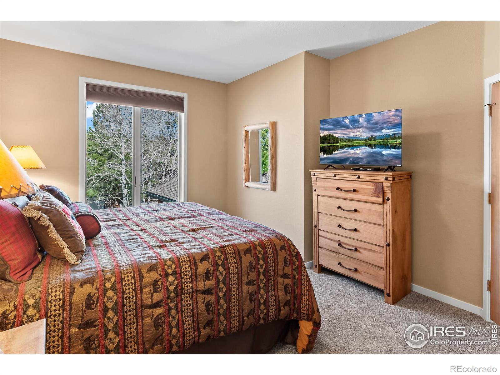 MLS Image #21 for 338  fox acres drive,red feather lakes, Colorado