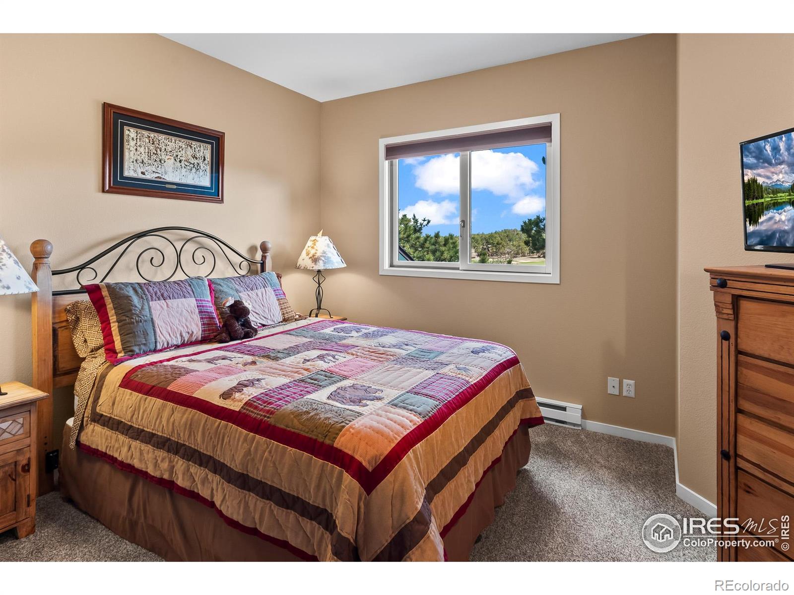 MLS Image #23 for 338  fox acres drive,red feather lakes, Colorado