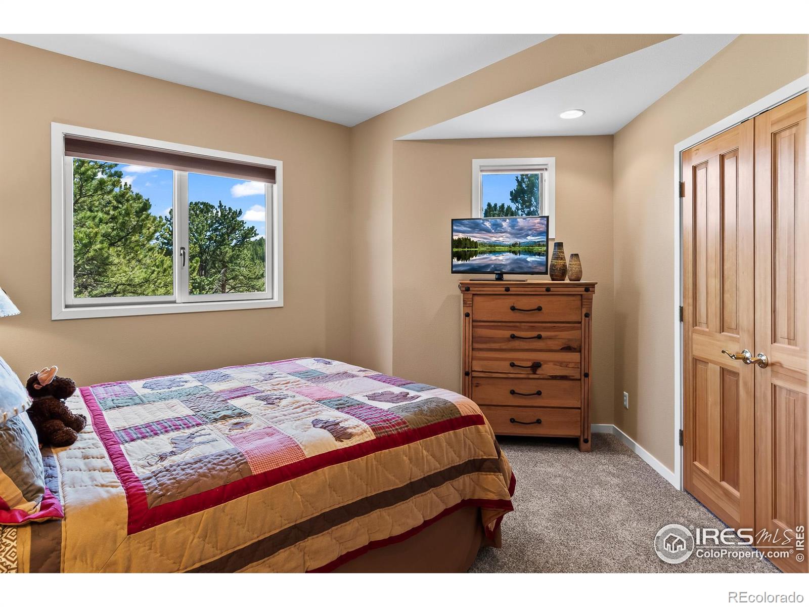 MLS Image #24 for 338  fox acres drive,red feather lakes, Colorado
