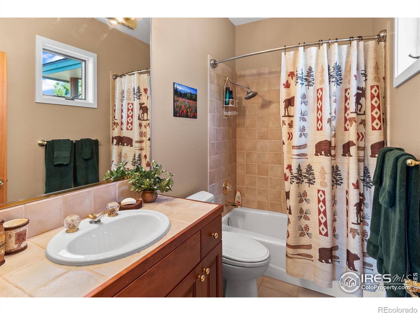 MLS Image #25 for 338  fox acres drive,red feather lakes, Colorado