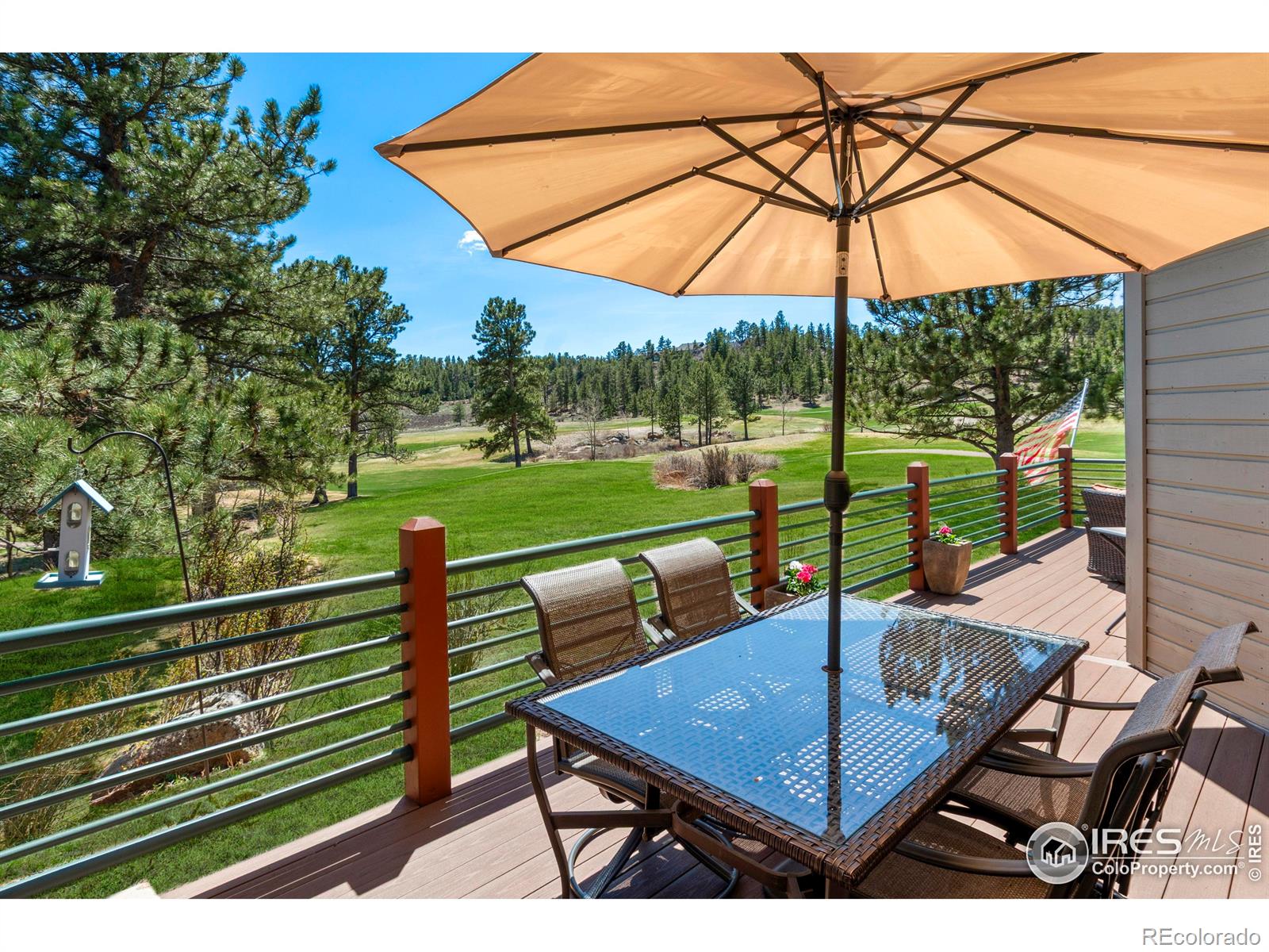 MLS Image #28 for 338  fox acres drive,red feather lakes, Colorado