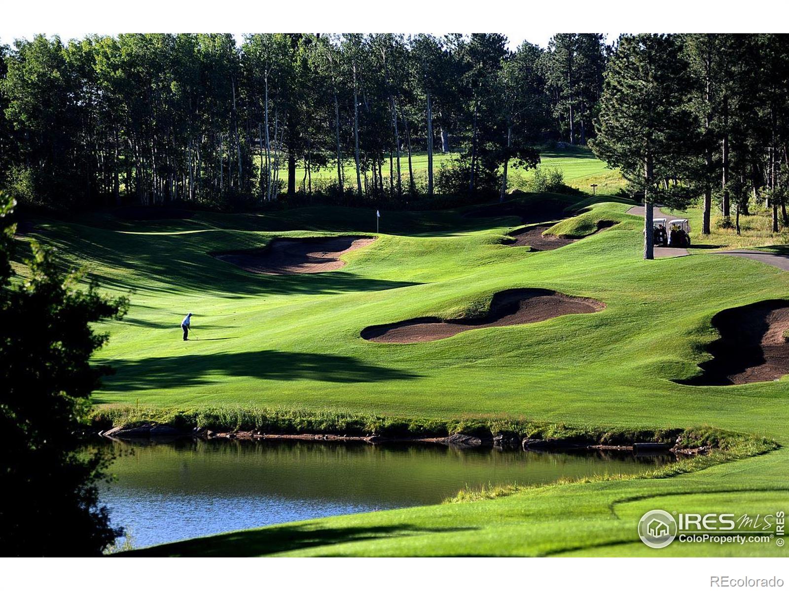 MLS Image #38 for 338  fox acres drive,red feather lakes, Colorado