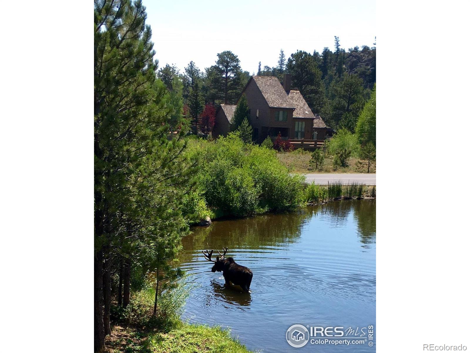 MLS Image #39 for 338  fox acres drive,red feather lakes, Colorado