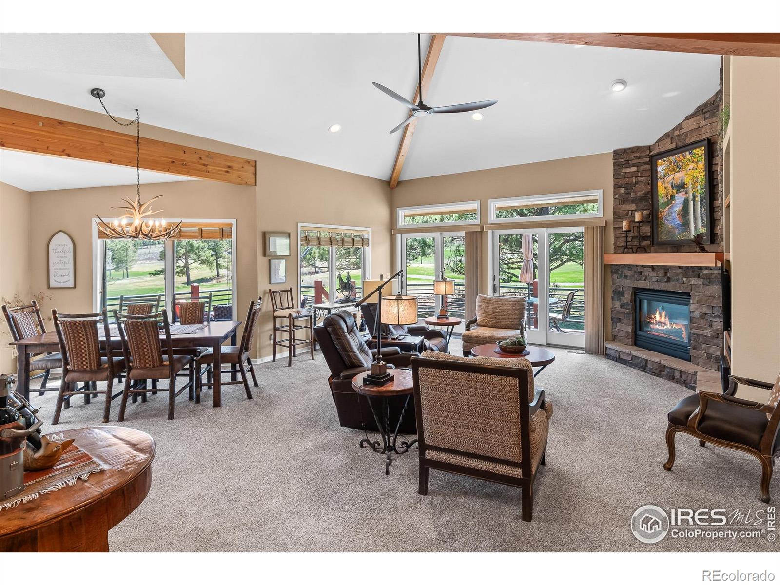 MLS Image #6 for 338  fox acres drive,red feather lakes, Colorado