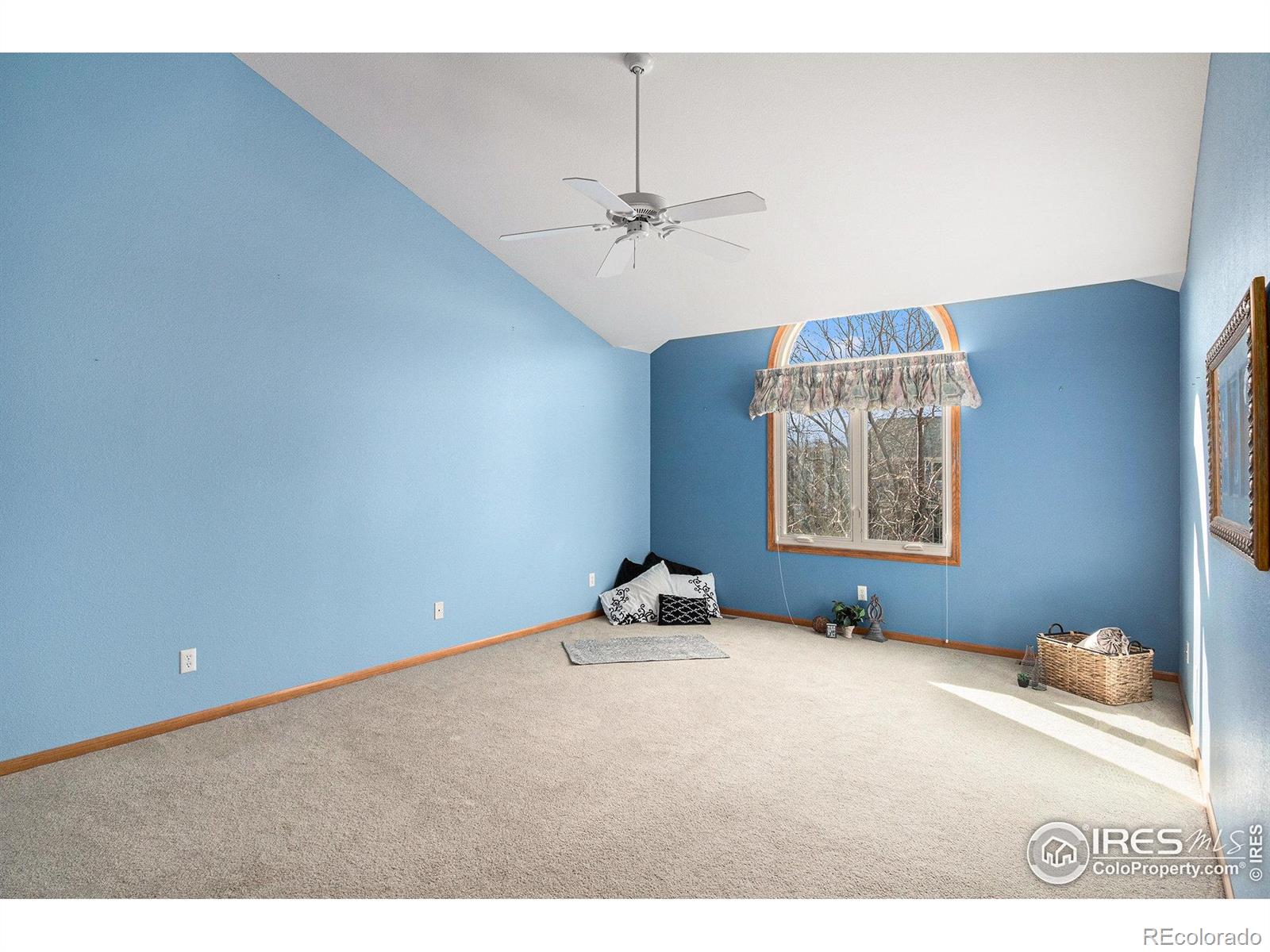 MLS Image #12 for 3742  kentford road,fort collins, Colorado