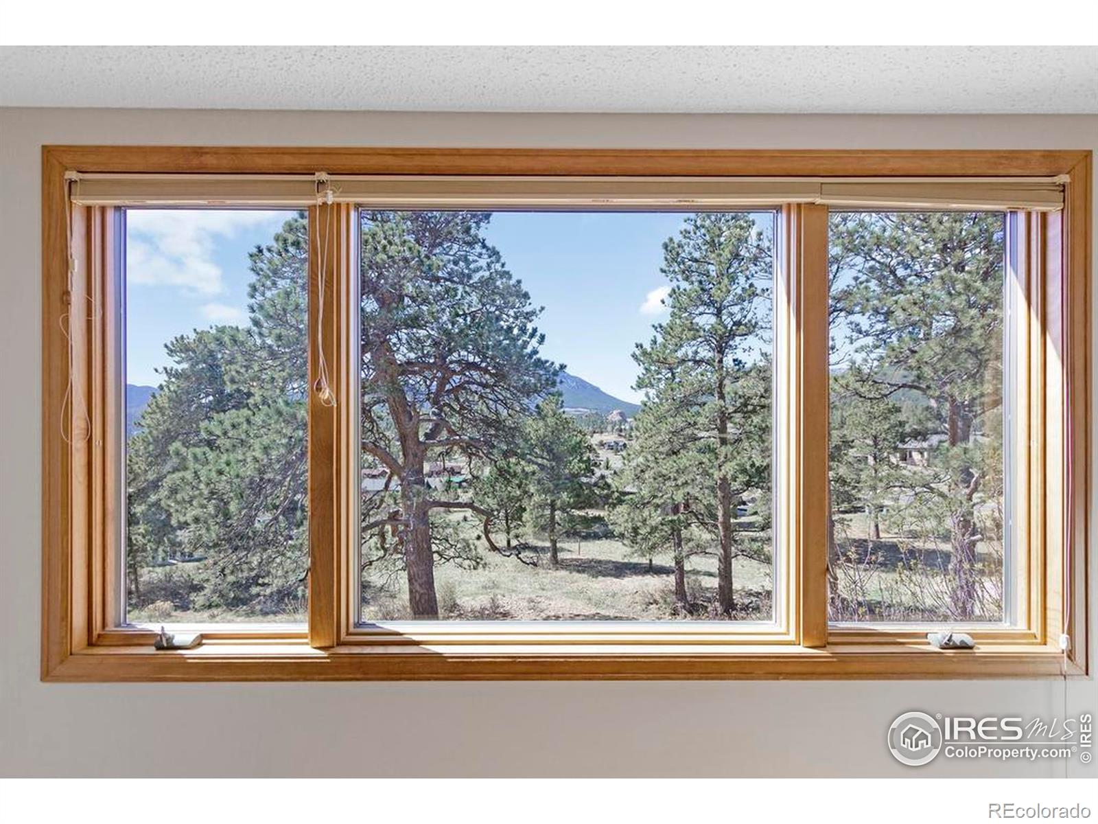 MLS Image #30 for 272  solomon drive,estes park, Colorado