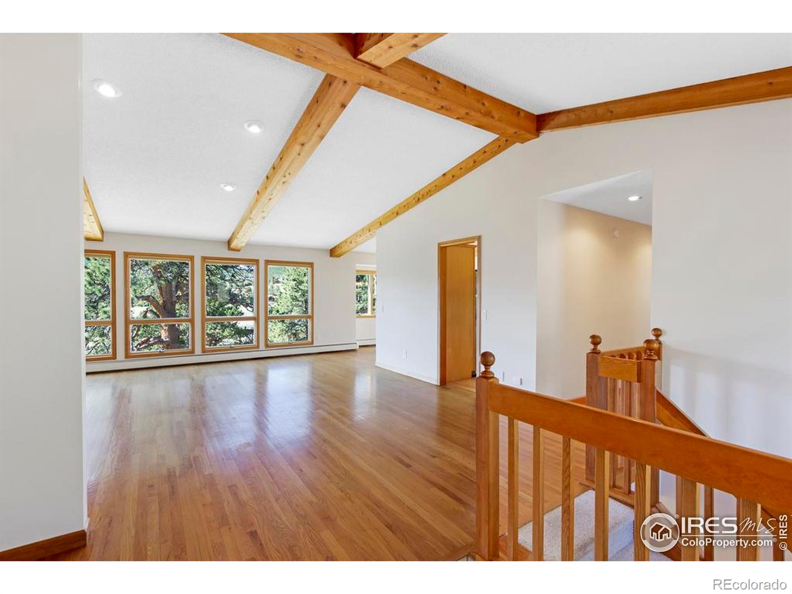 MLS Image #4 for 272  solomon drive,estes park, Colorado