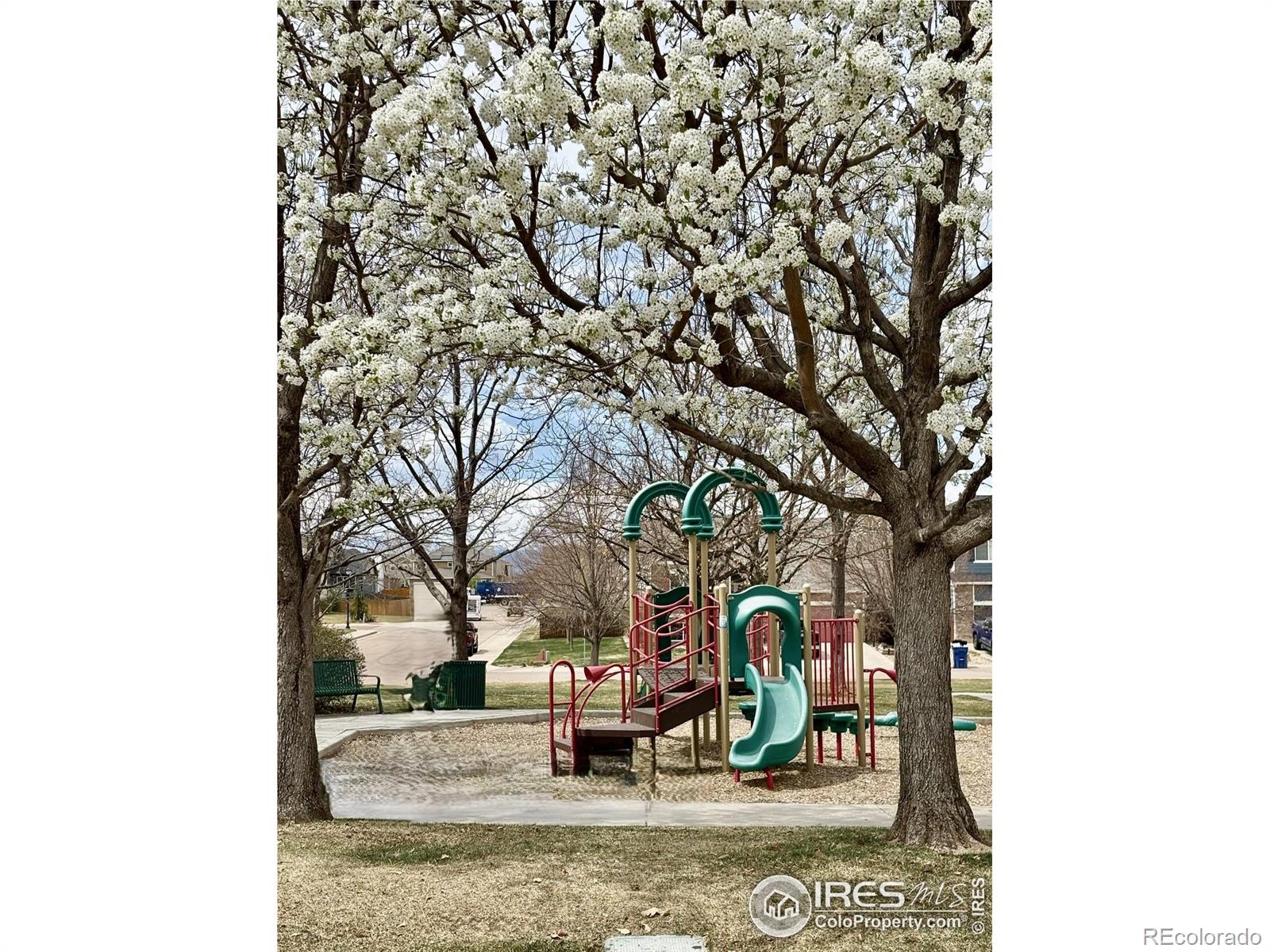 MLS Image #29 for 454  pioneer lane,johnstown, Colorado