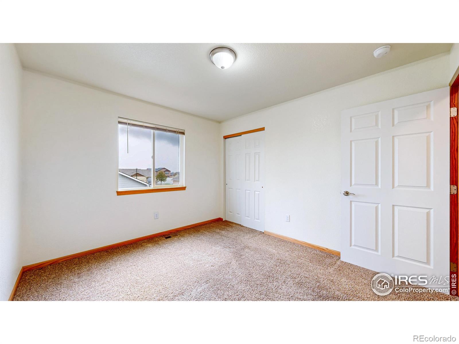 MLS Image #12 for 3705  mount spalding street,wellington, Colorado
