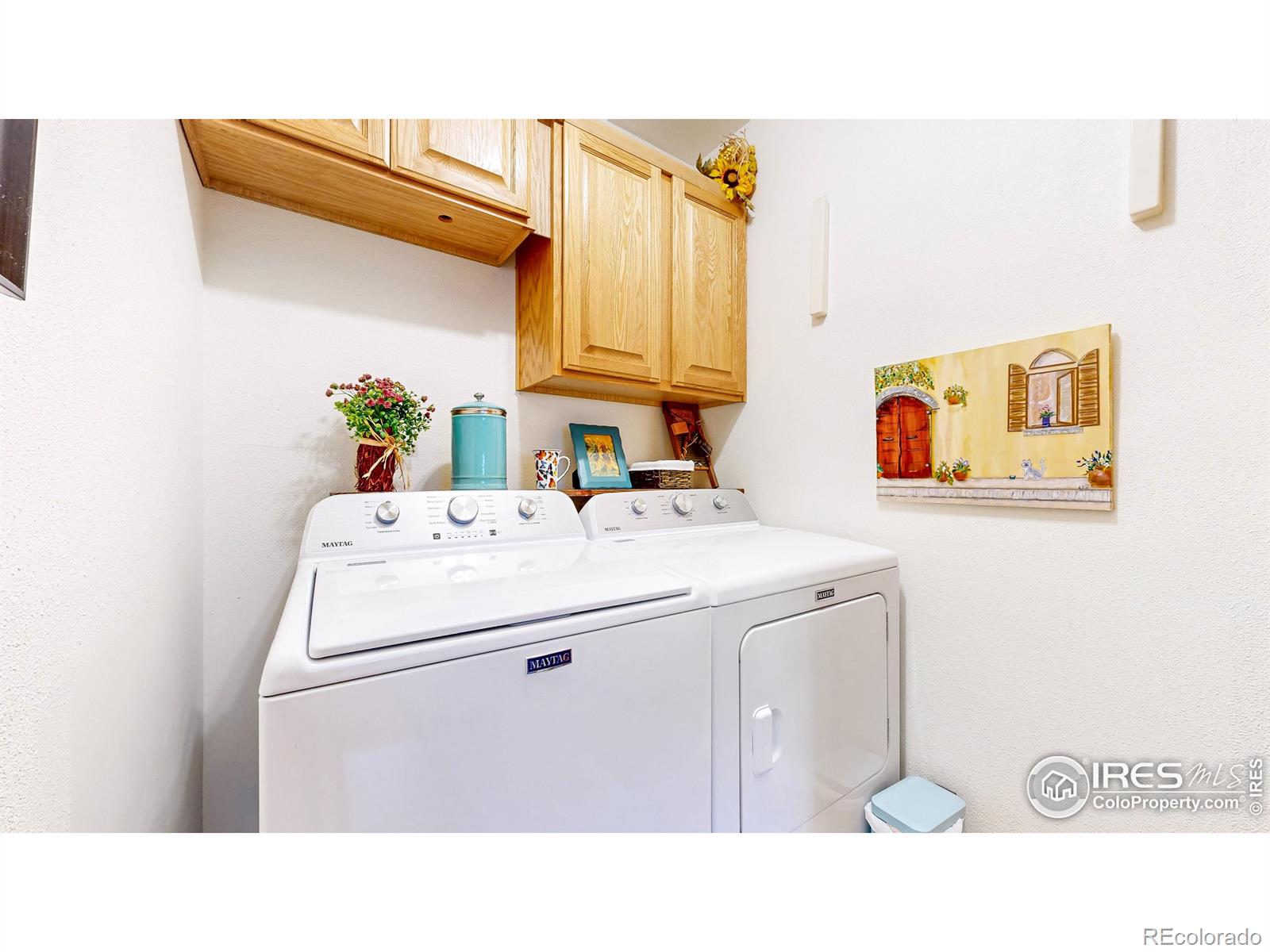 MLS Image #27 for 3705  mount spalding street,wellington, Colorado