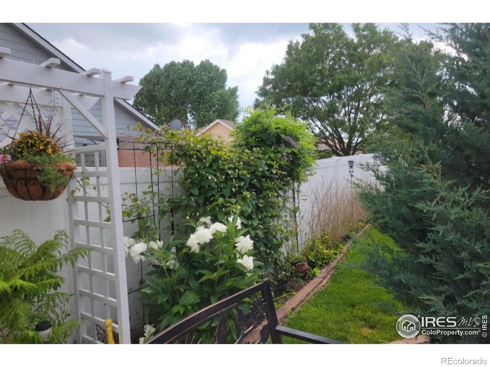 MLS Image #31 for 3705  mount spalding street,wellington, Colorado