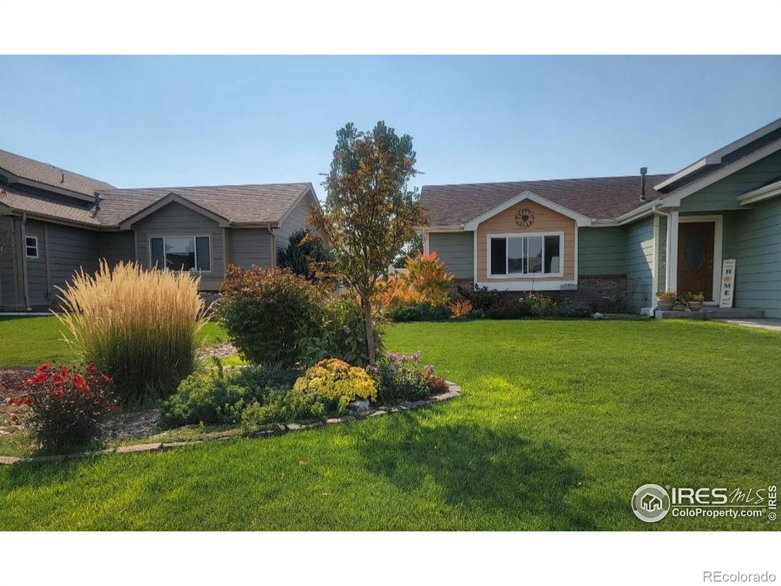 MLS Image #33 for 3705  mount spalding street,wellington, Colorado
